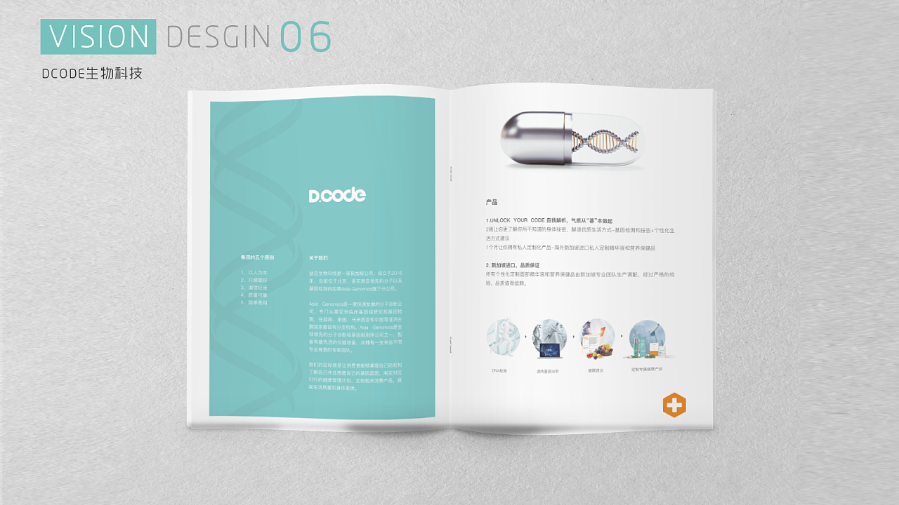 从平面设计到网站建设 打造专业作品集的完整指南